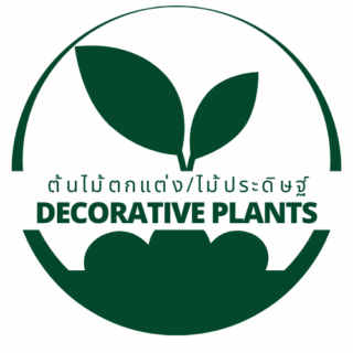 ต้นไม้ตกแต่ง/ไม้ประดิษฐ์